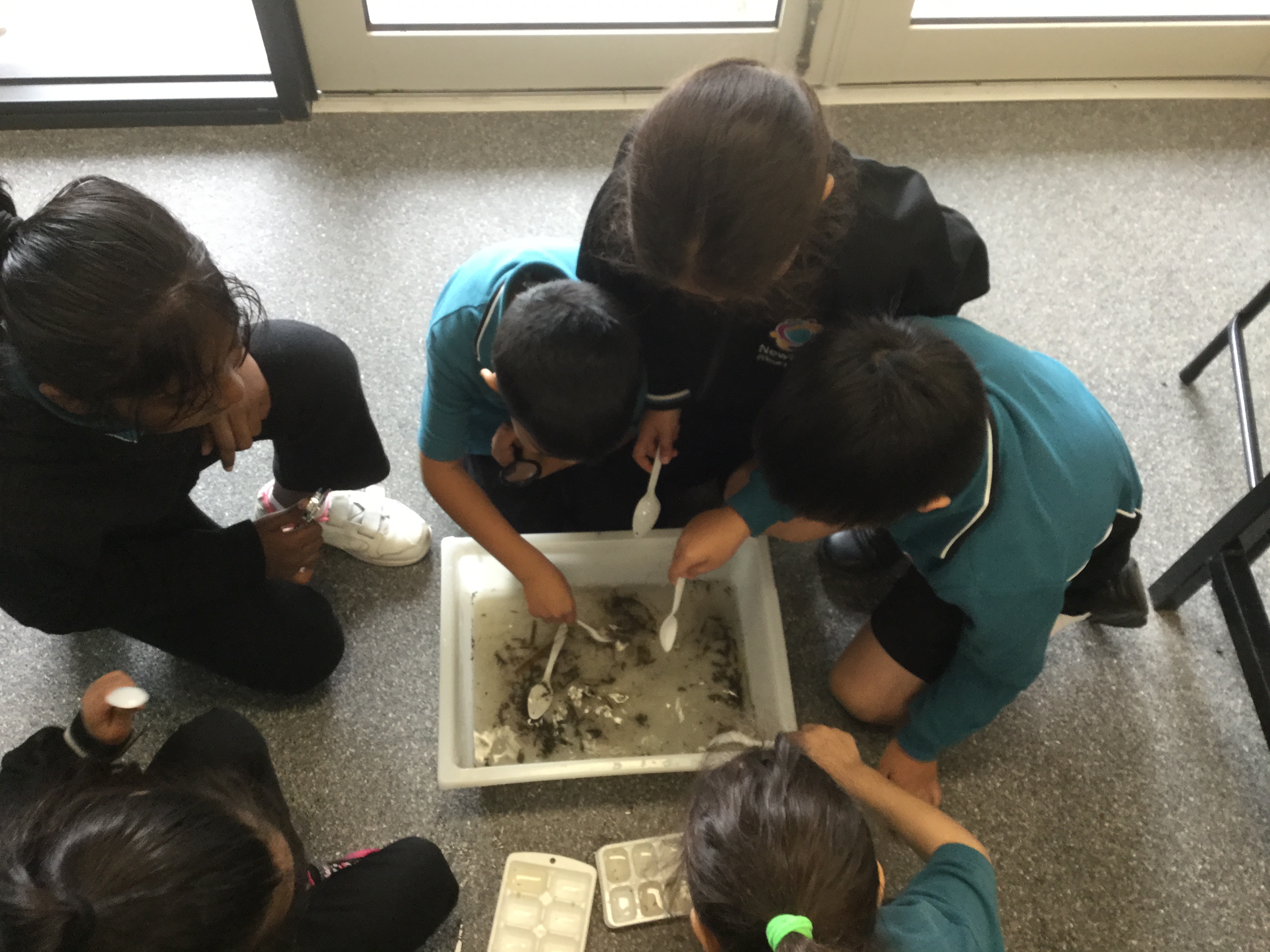 /uploaded_files/media/gallery/1503462467Science 1 (2).jpeg